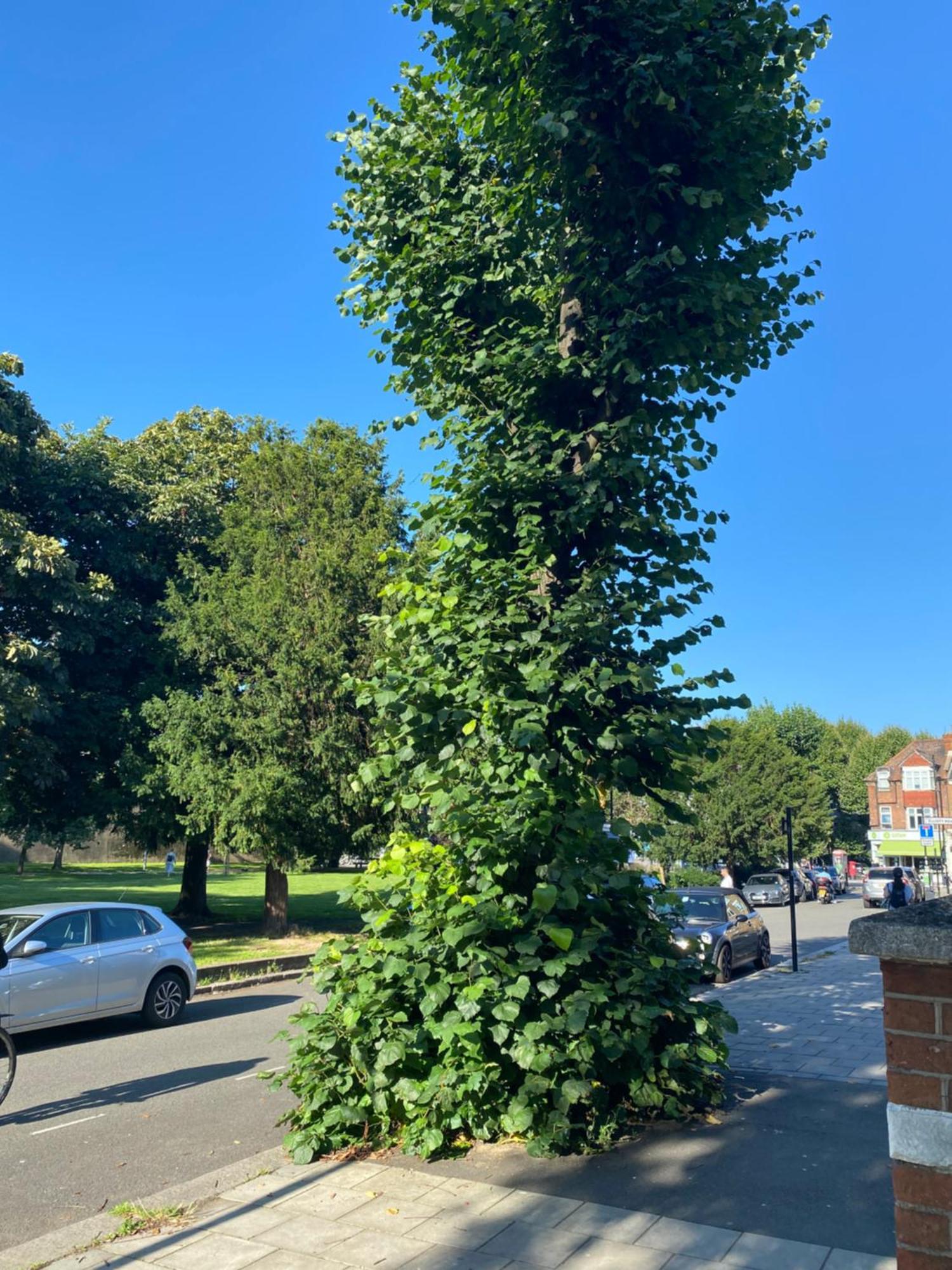 Amazing Chiswick Appartamento